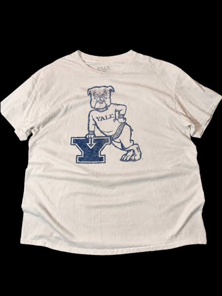 Men's Cream and Tan T-shirt