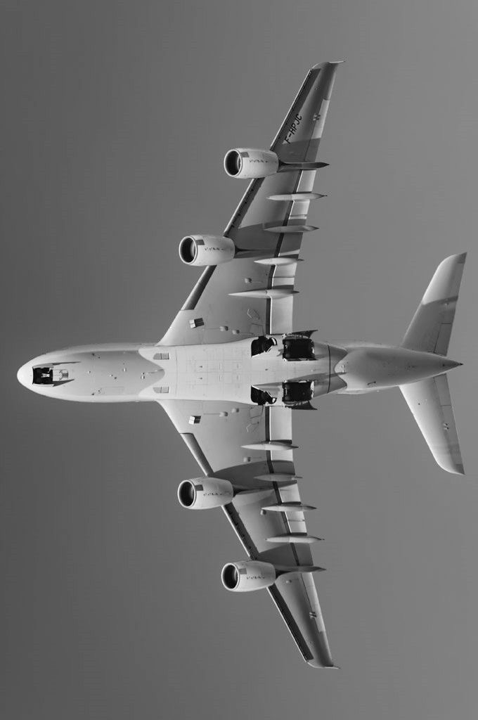 White world visual 4