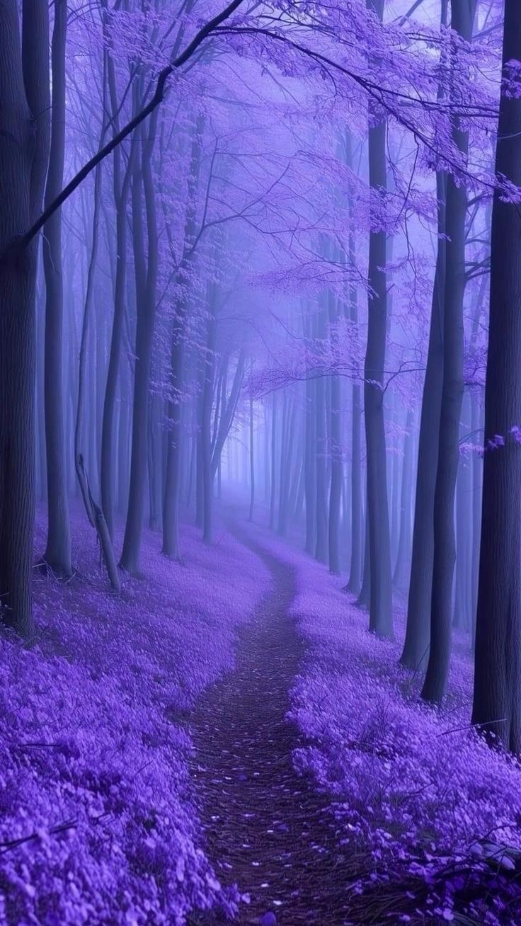 Purple world visual 4