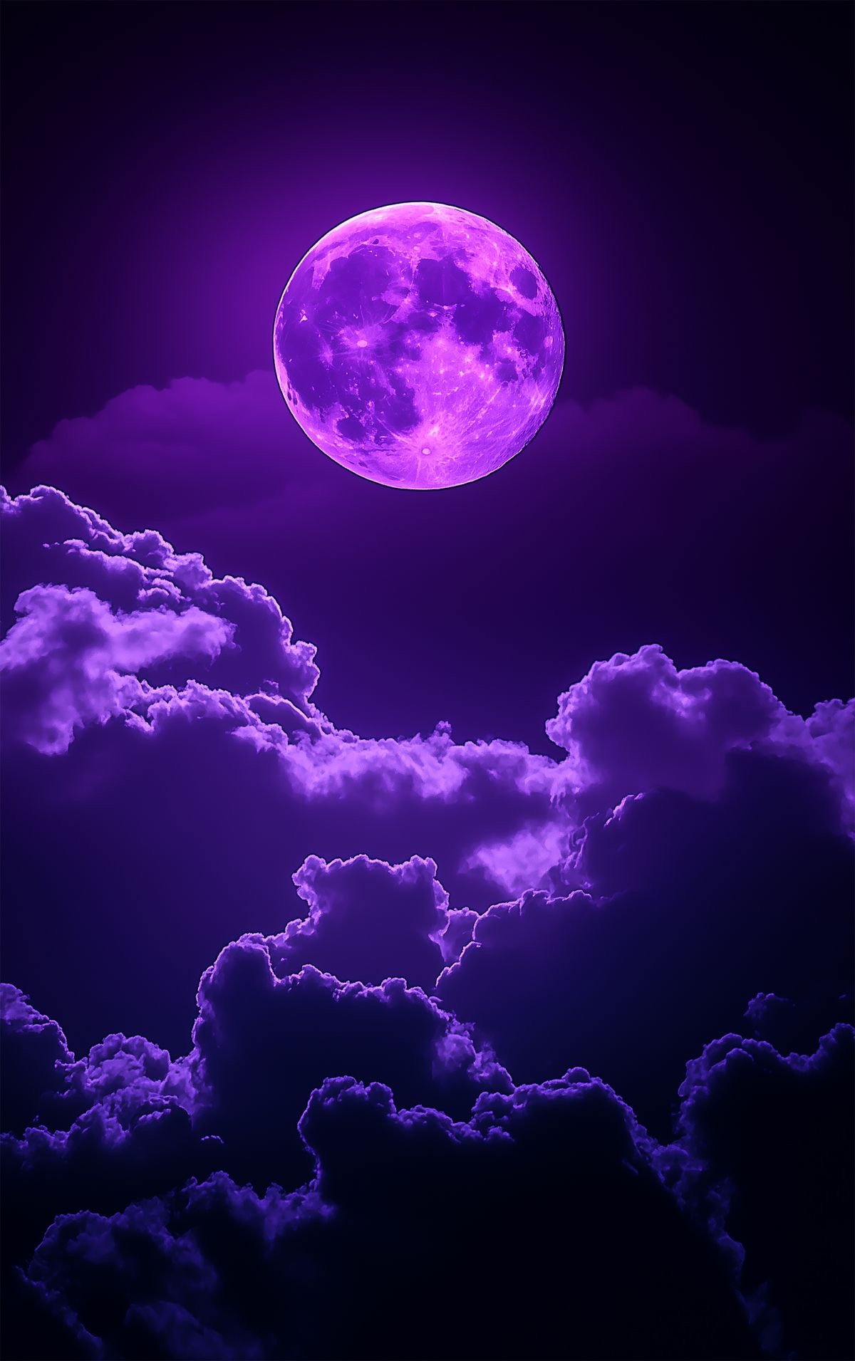 Purple world visual 2