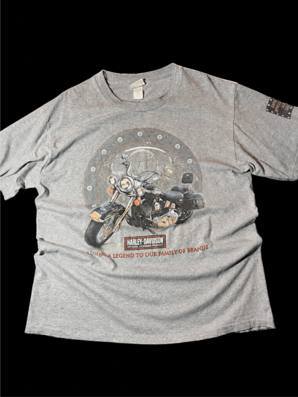 Lee Sport Men's Grey T-shirt
